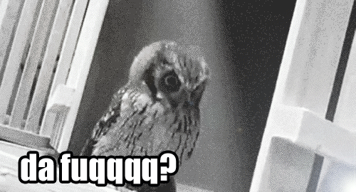 [Shiina] Noraneko Shoujo to no Kurashikata Ch. 4-15 [Chinese] [虎斑木菟漢化] [Digital]全集