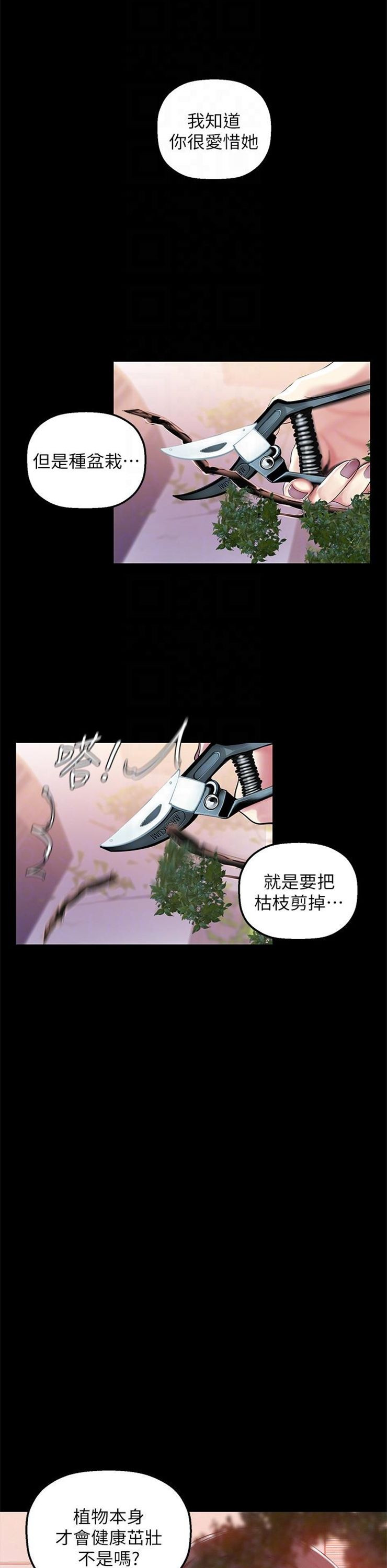 （週1）美麗新世界 1-79 中文翻譯 （更新中）全集