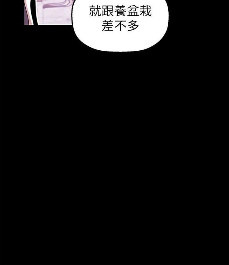 （週1）美麗新世界 1-79 中文翻譯 （更新中）全集