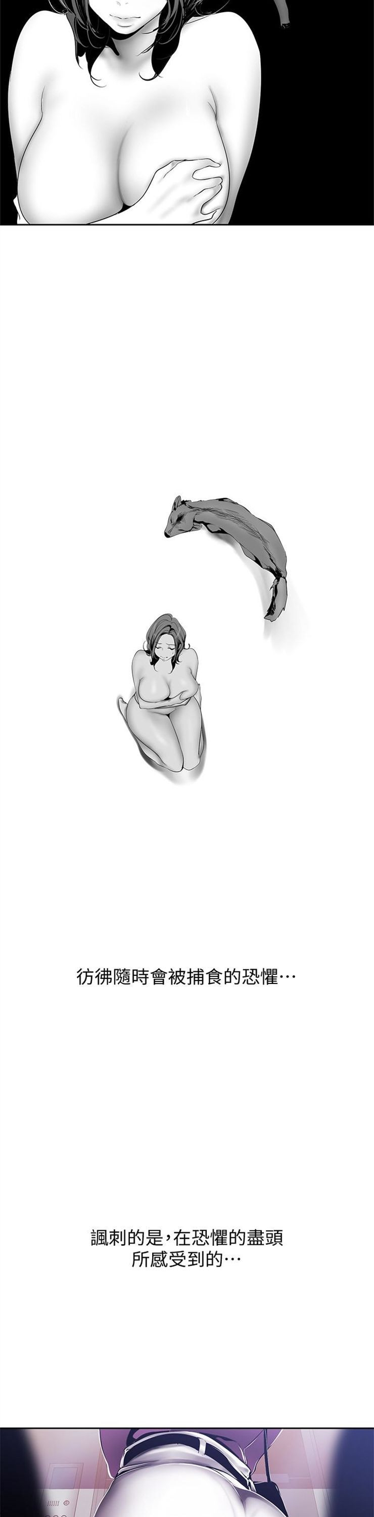 （週1）美麗新世界 1-79 中文翻譯 （更新中）全集