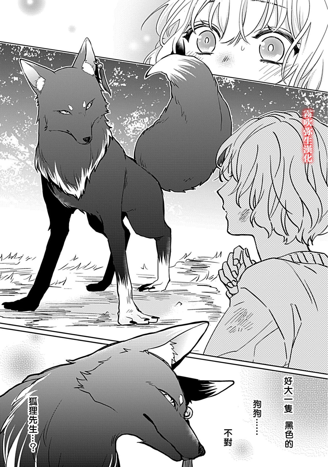 鴫タヌキ 妖狐さまの華夜女 妖狐大人的華夜女01 【霧吹弥生漢化組】全集