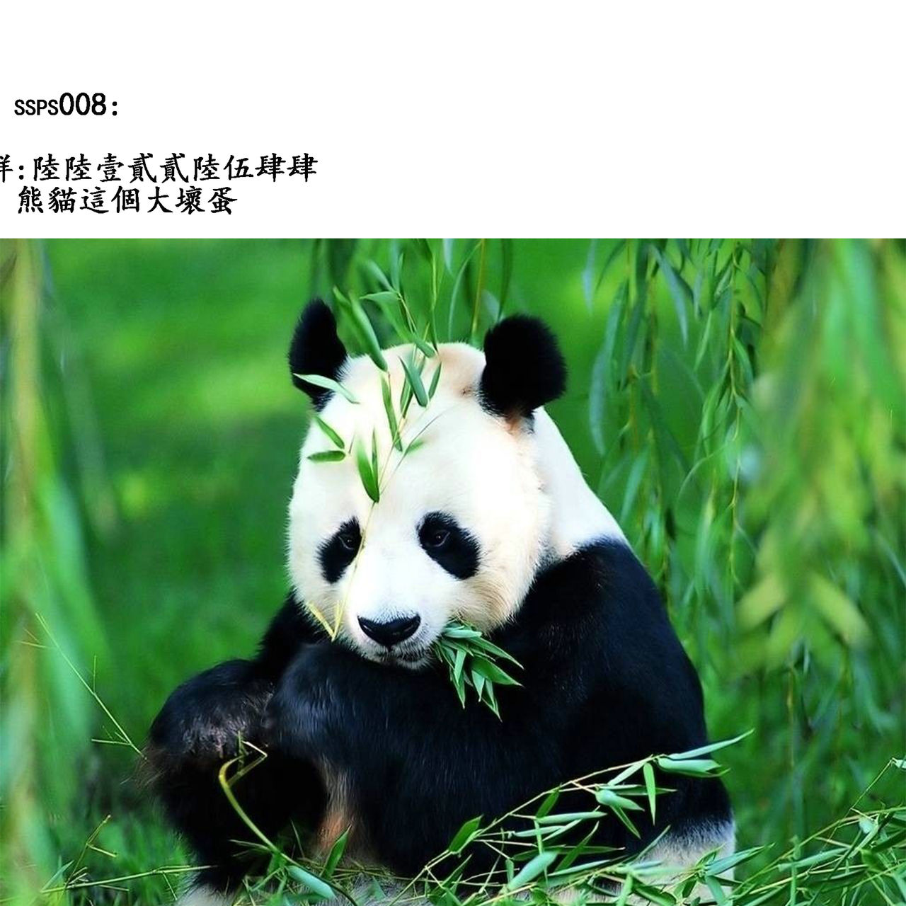 [Chirima] Junrenbo (COMIC Anthurium 2016-09)  [Chinese] [ssps漢化]全集