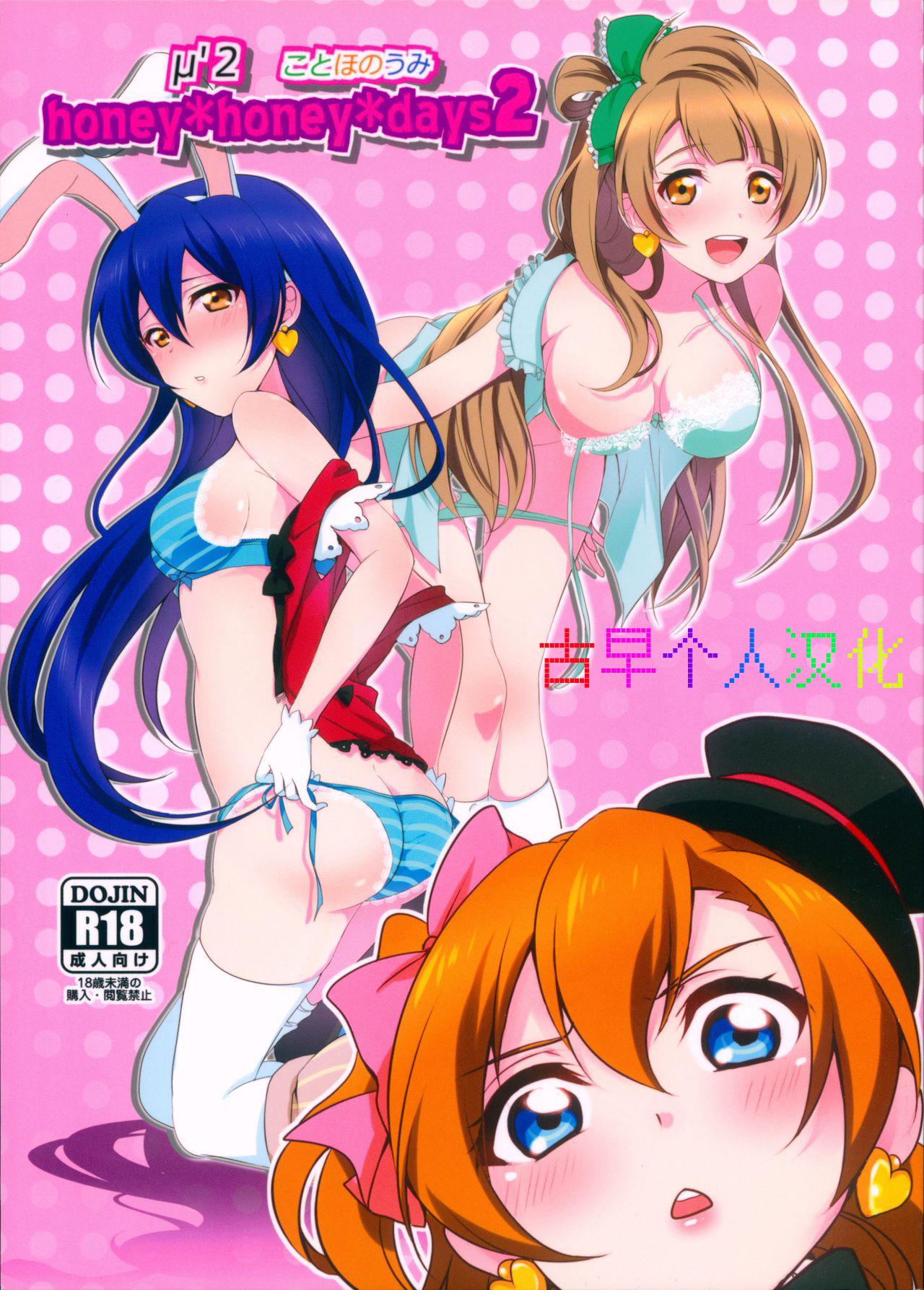 (C90) [Fukurou no Yuubinya san (Ueto Ruri)] honey*honey*days2 (Love Live!) [Chinese] [古早个人汉化]全集